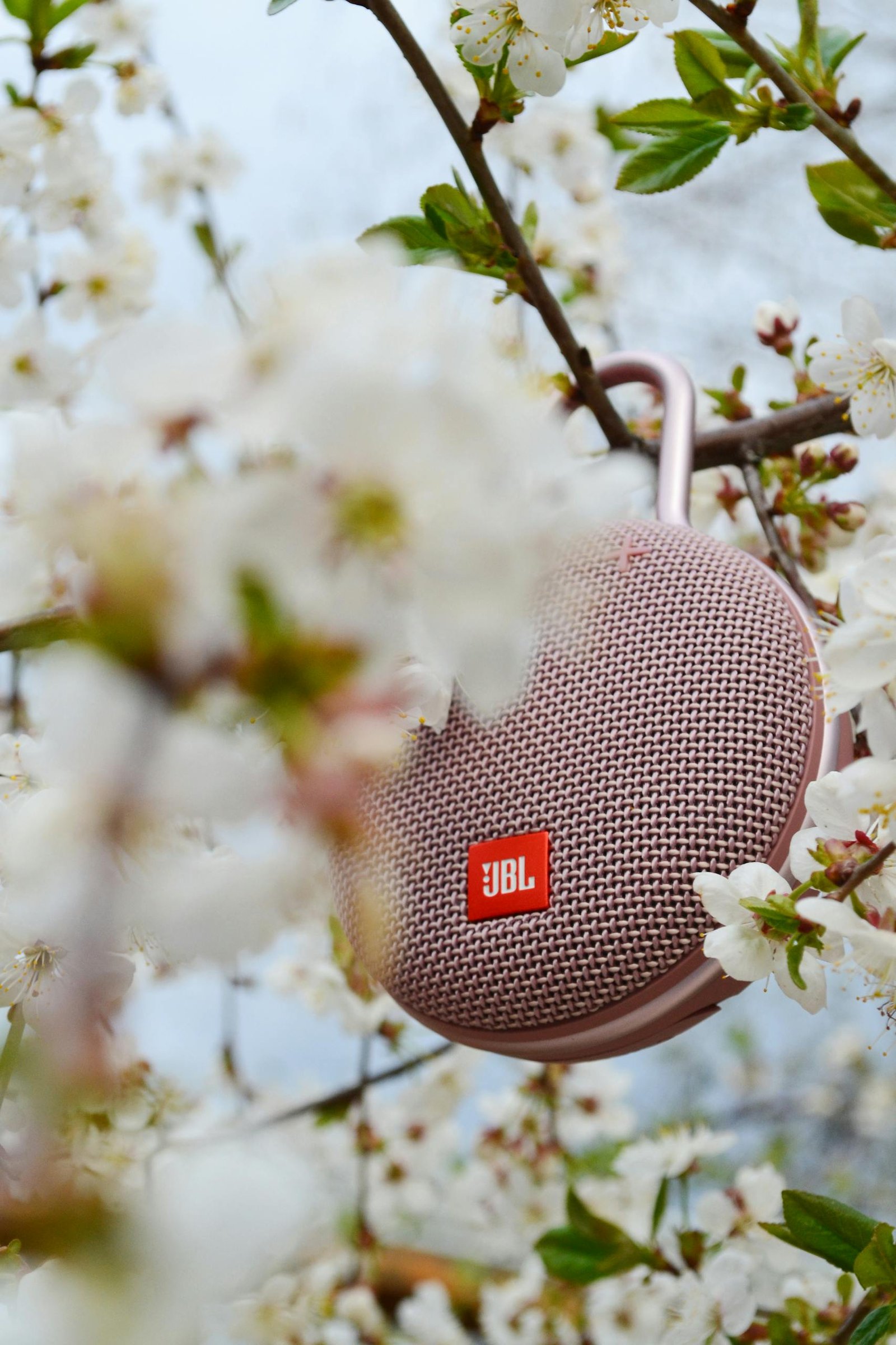 A JBL speaker hanging amidst blooming cherry blossoms, showcasing nature and technology.